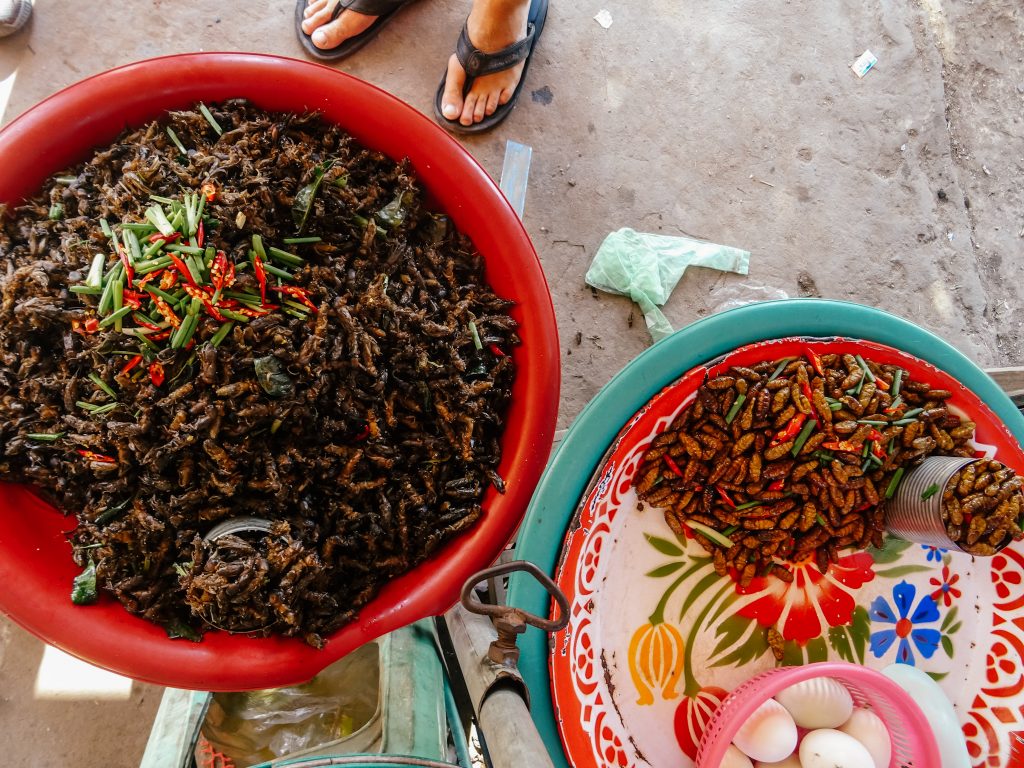 Crickets, grasshoppers, and mealworms