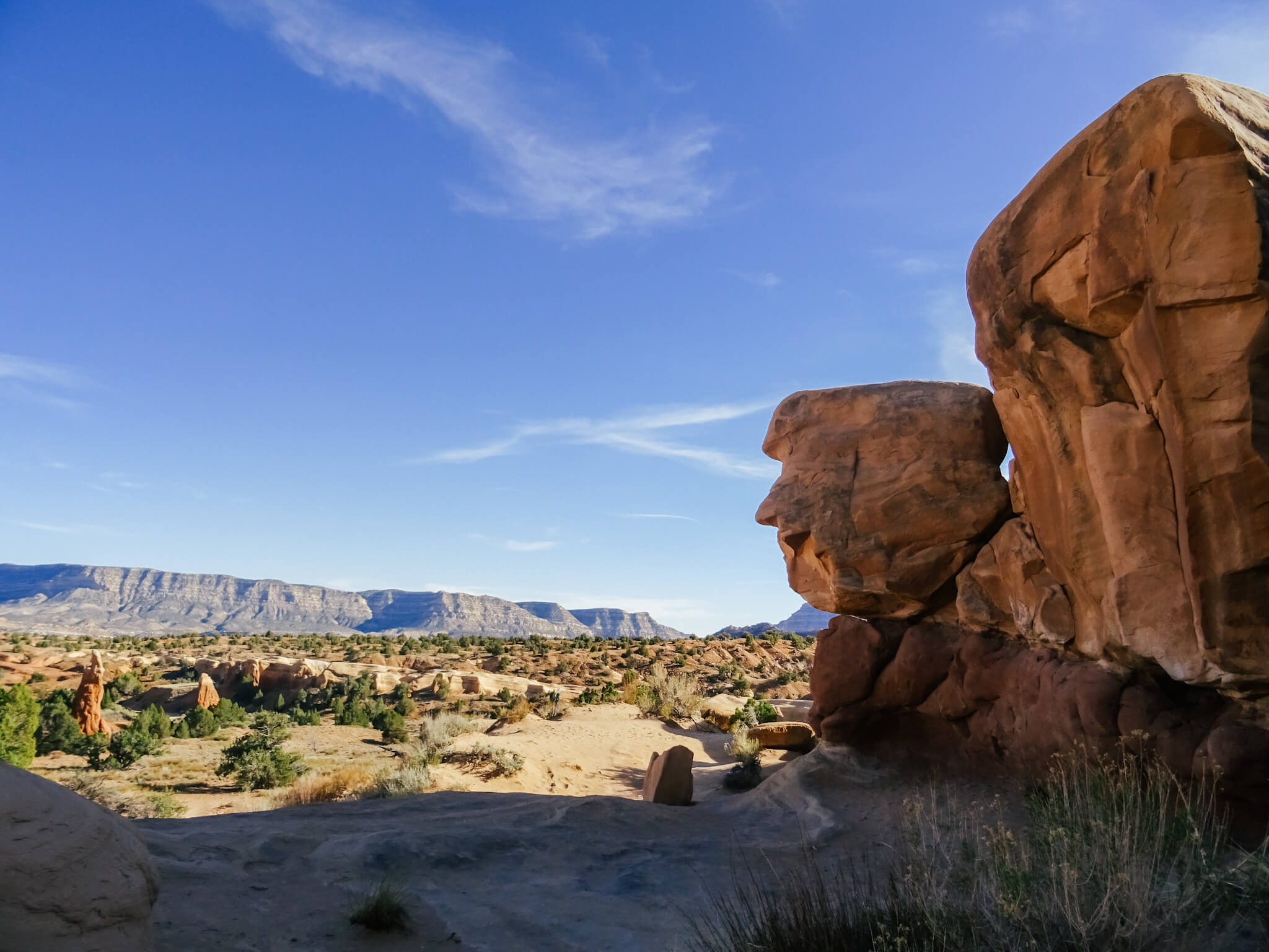 Donald Trump sculpture