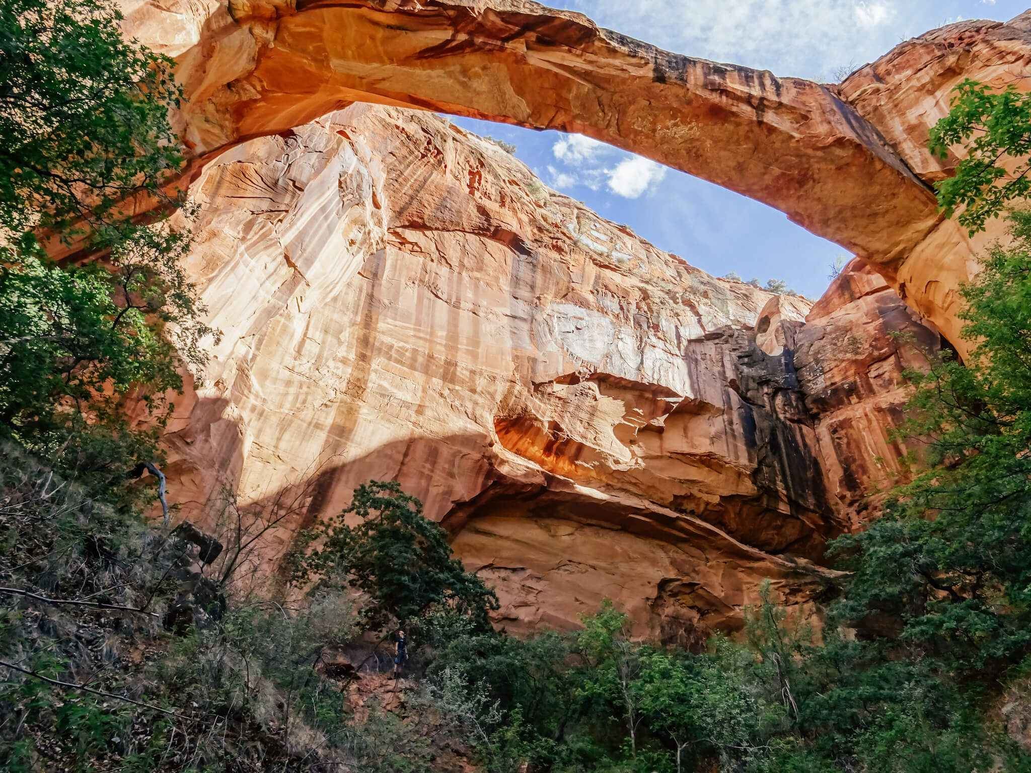 Escalante Natural Bridge