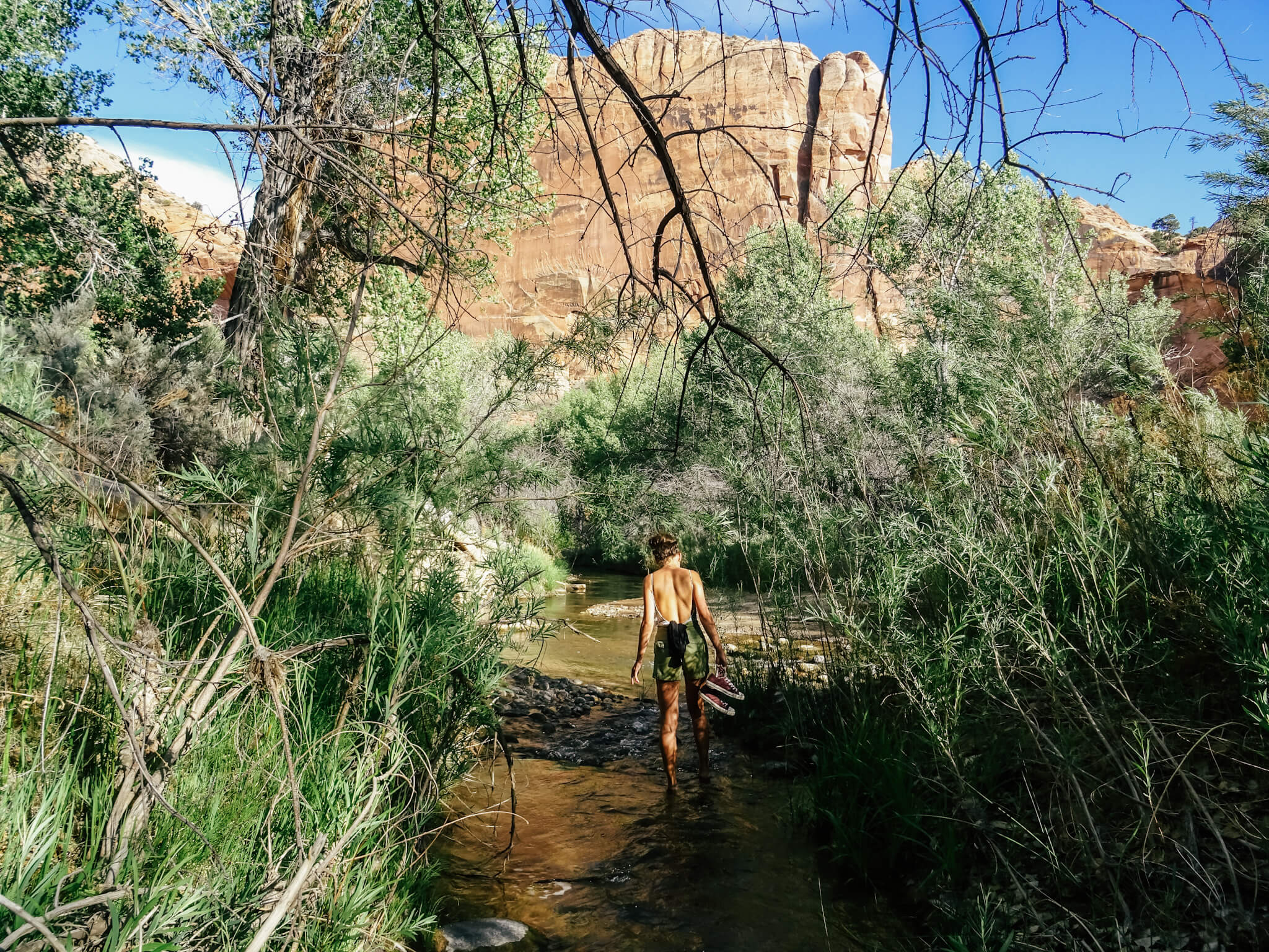 Hiking in the river