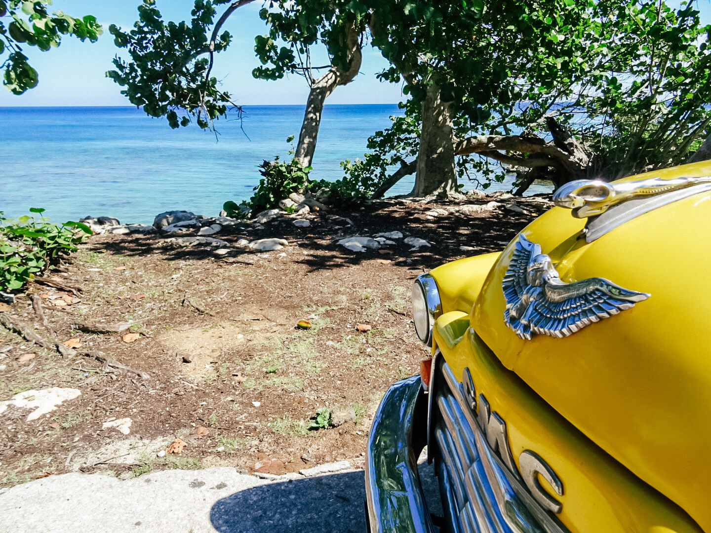 Cuban Scuba Diving Day