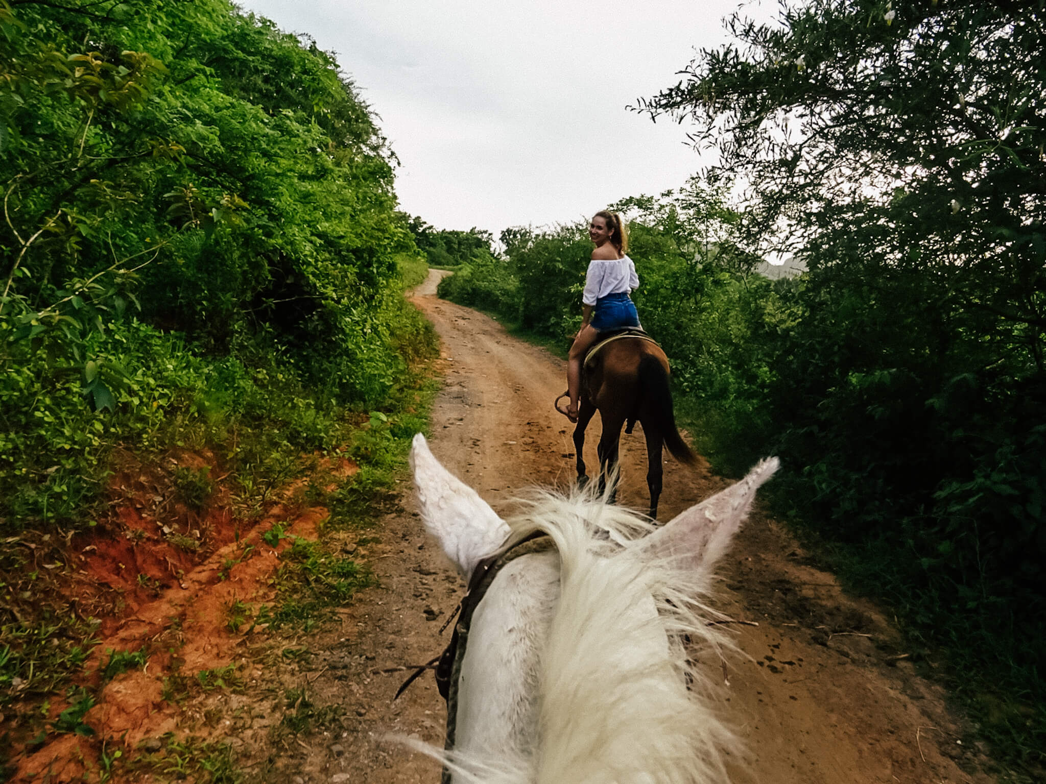 Horseback riding trip