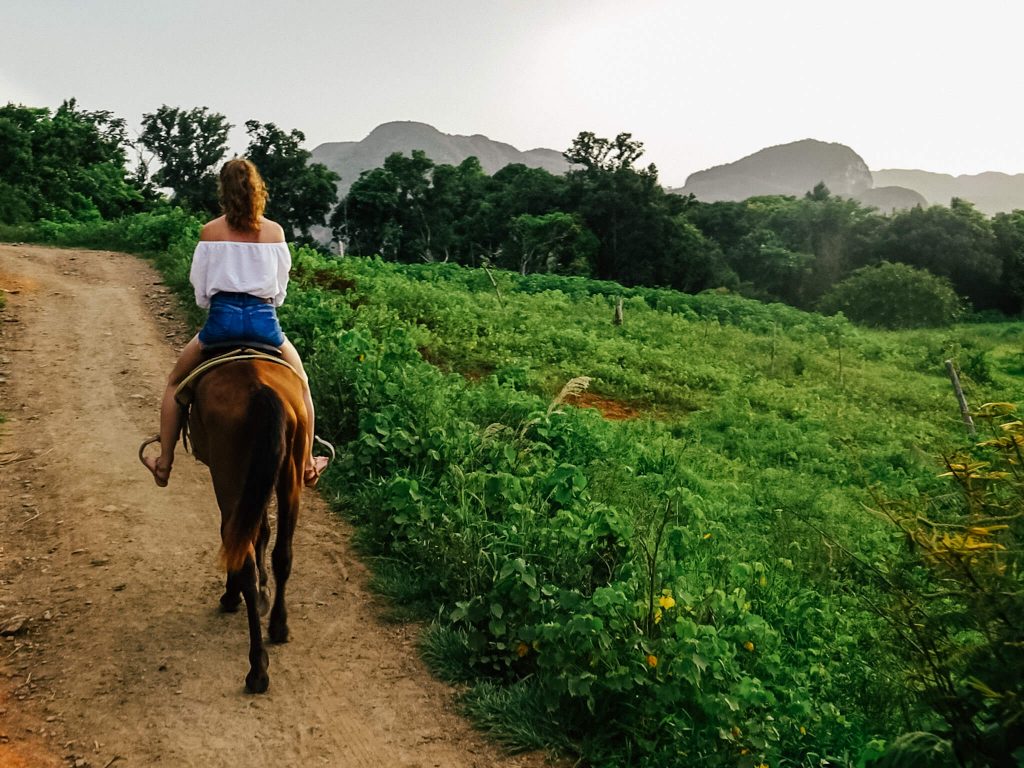 Horseback riding trip