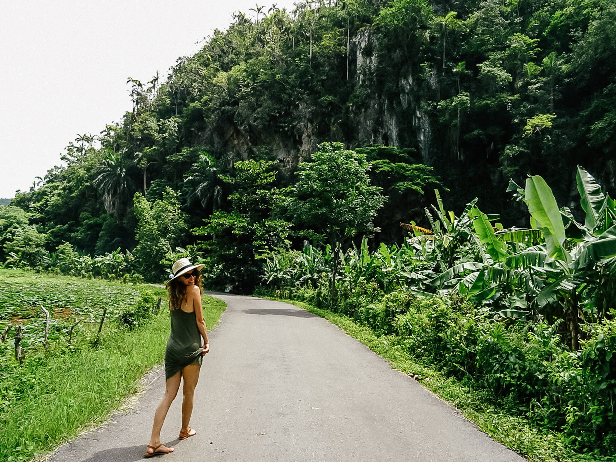 Endless green in Viñales