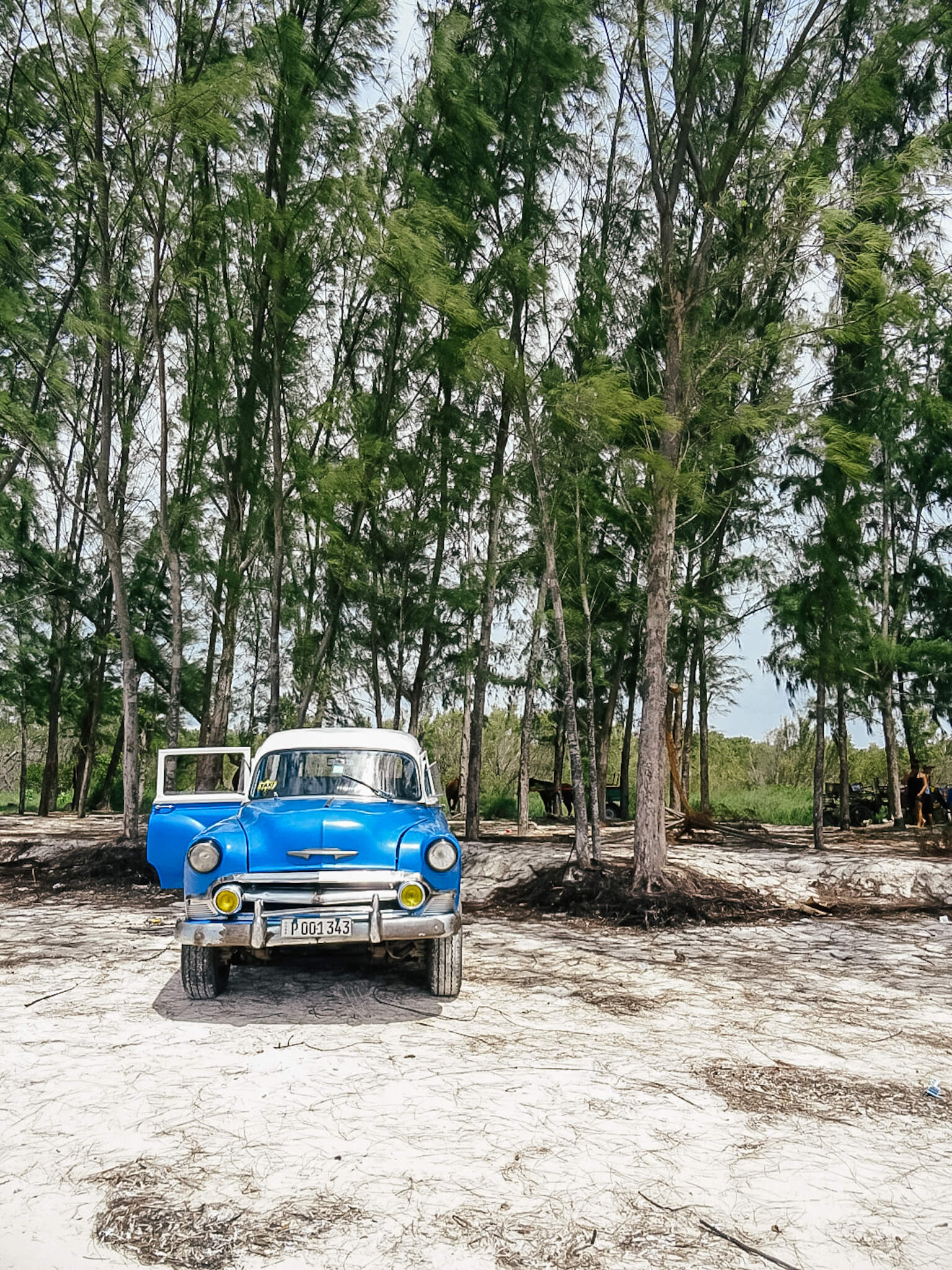 Cuban beach